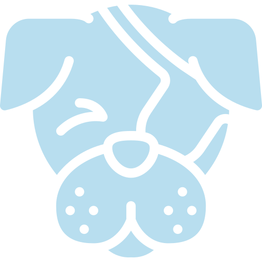 dog  injuries icon