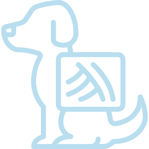 dog x-ray icon