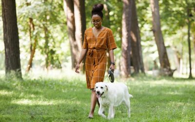 How to Protect Your Dog’s Paws from Hot Pavement